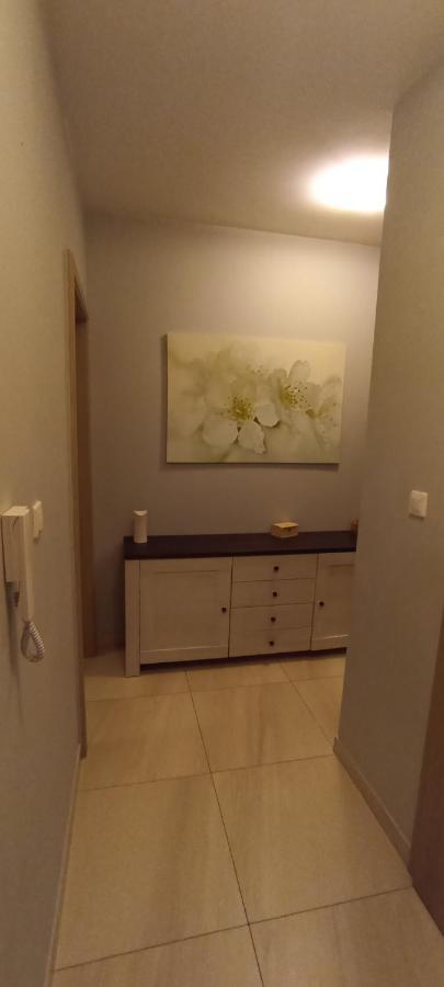 옐레니아구라 Apartament Szarlotka 아파트 외부 사진