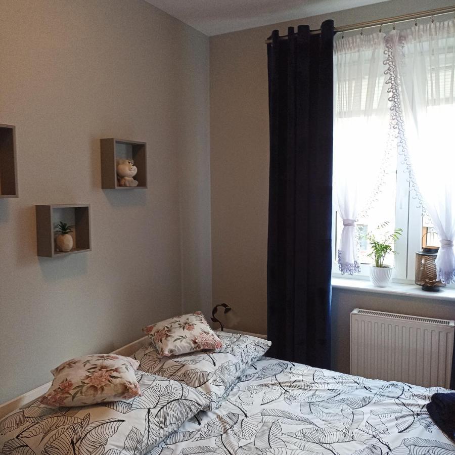 옐레니아구라 Apartament Szarlotka 아파트 외부 사진